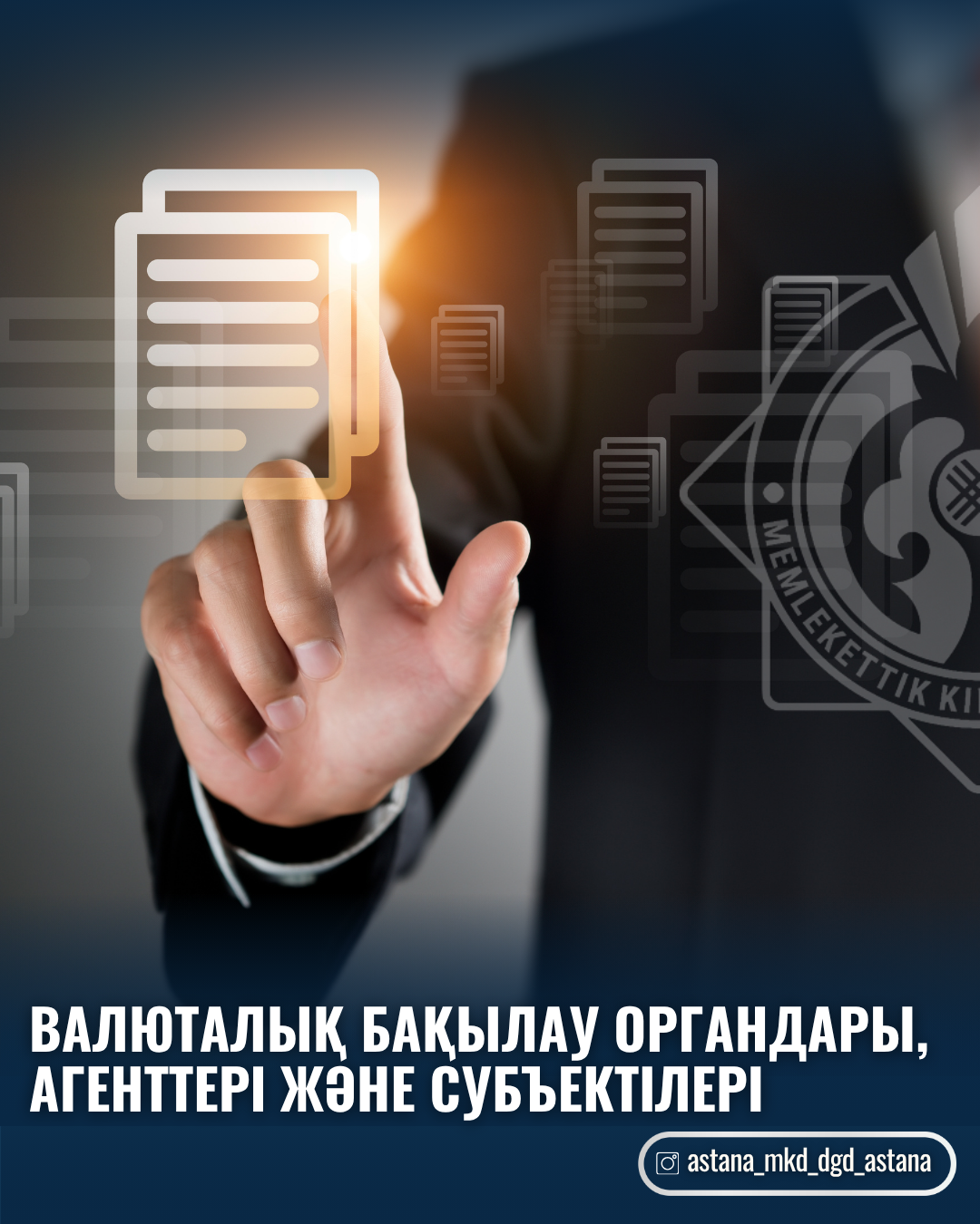 Валюталық бақылау органдары, агенттері және субъектілері