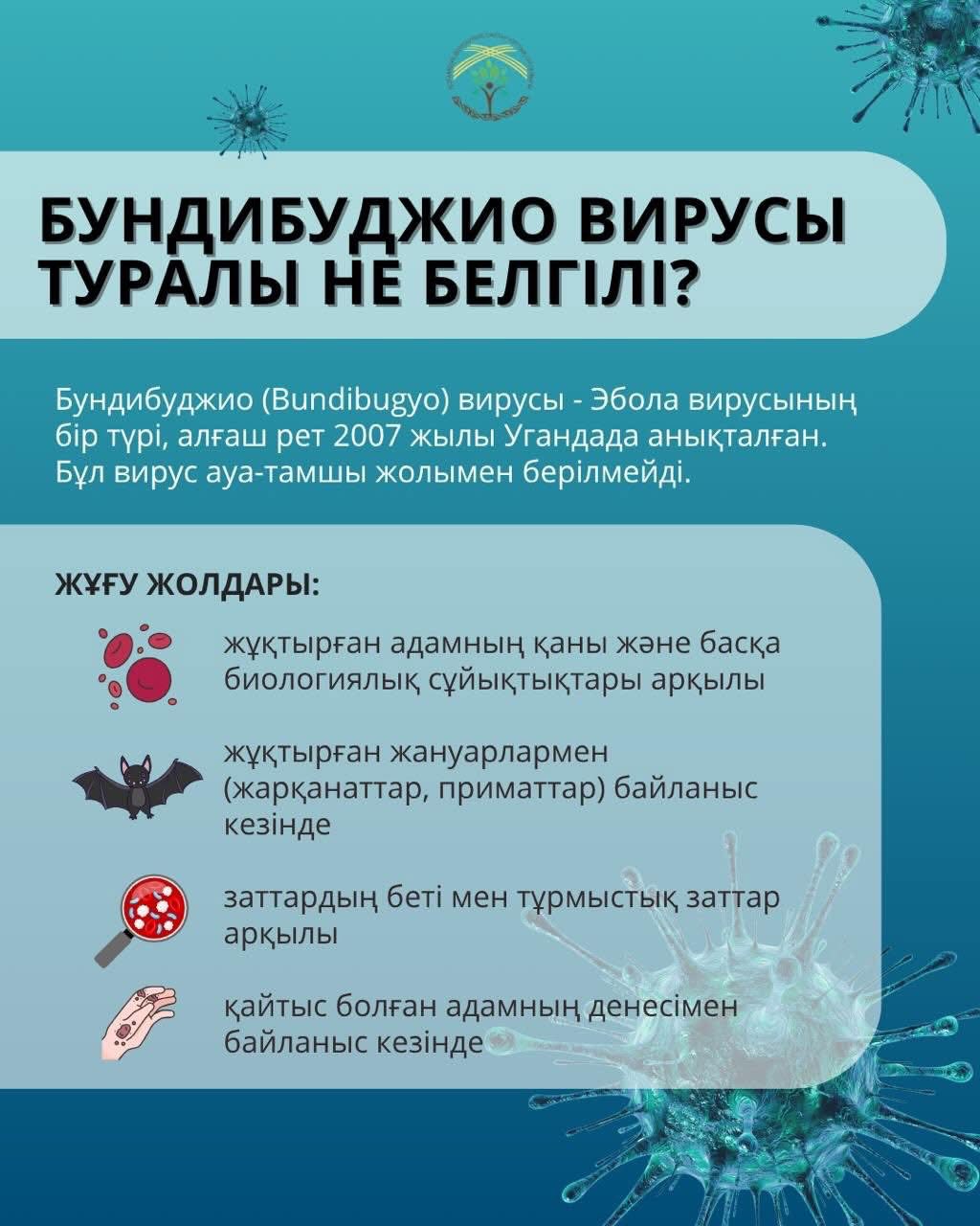 📌 Эбола: шетелге шыққанда нені ескеру қажет