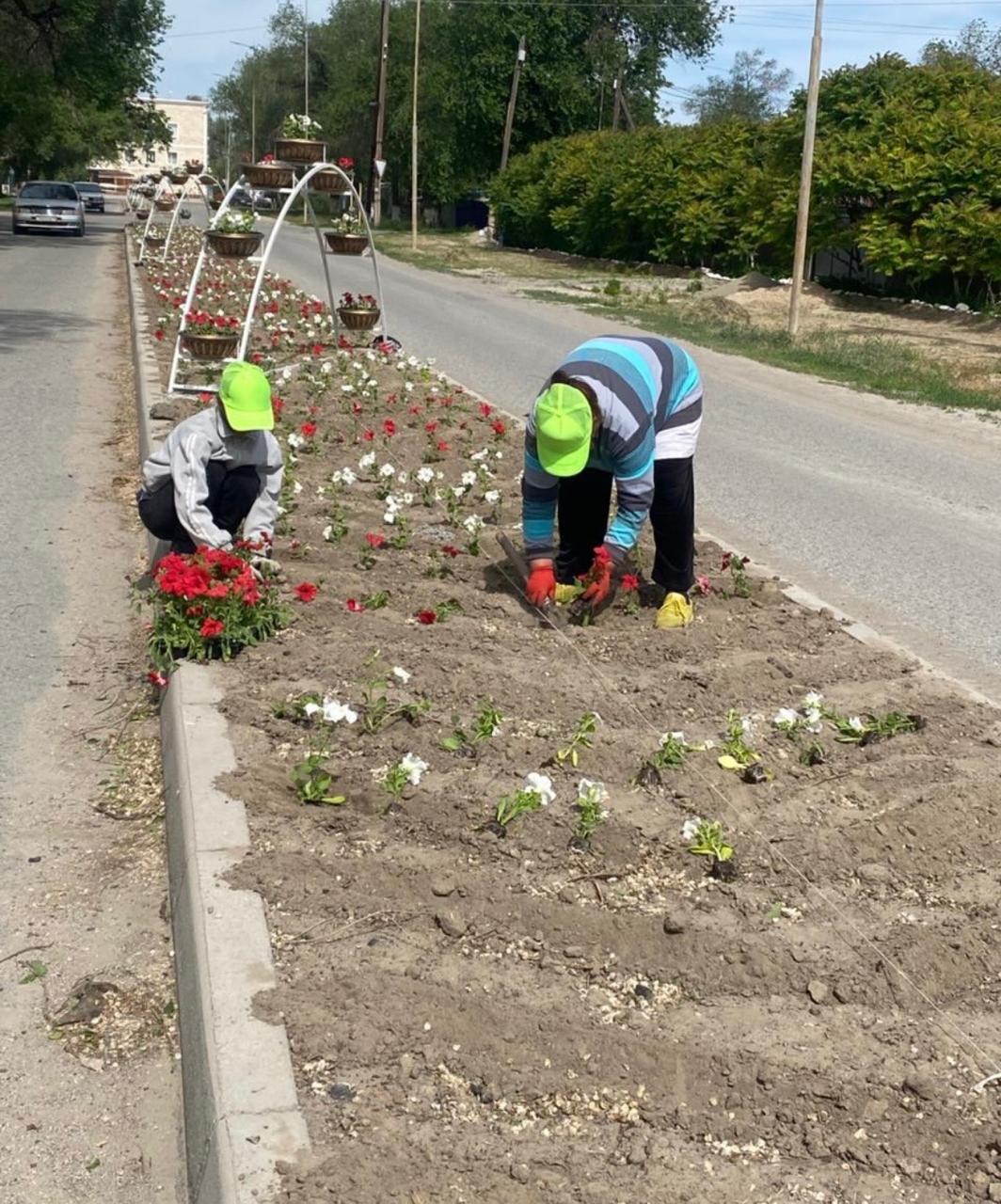 В городе Үштөбе по улице Пронина проводятся работы по высадке цветов.