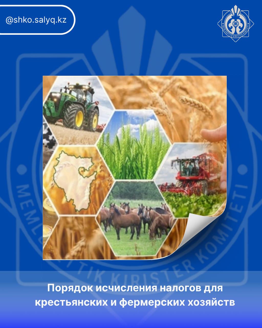 Порядок исчисления налогов для крестьянских и фермерских хозяйств