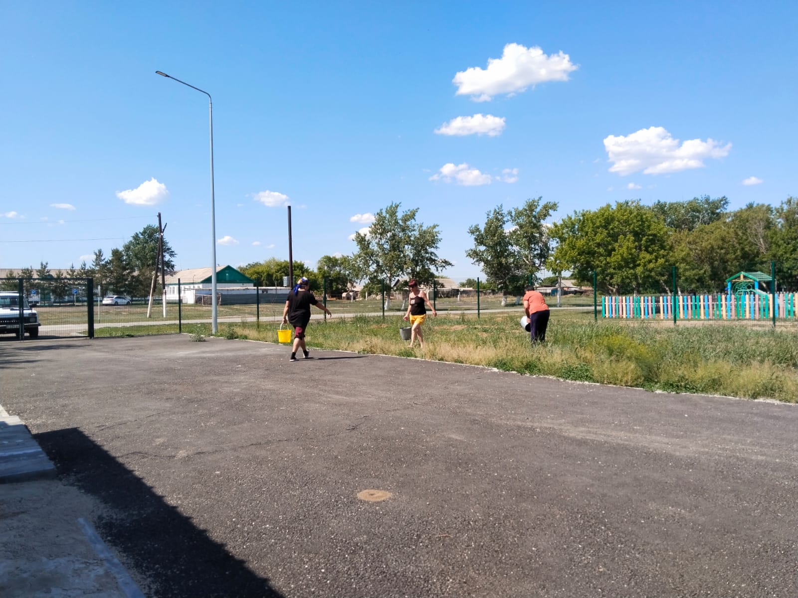 Полив саженцев