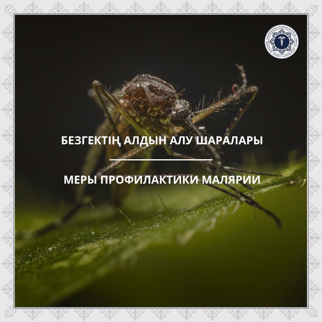 Меры профилактики малярии