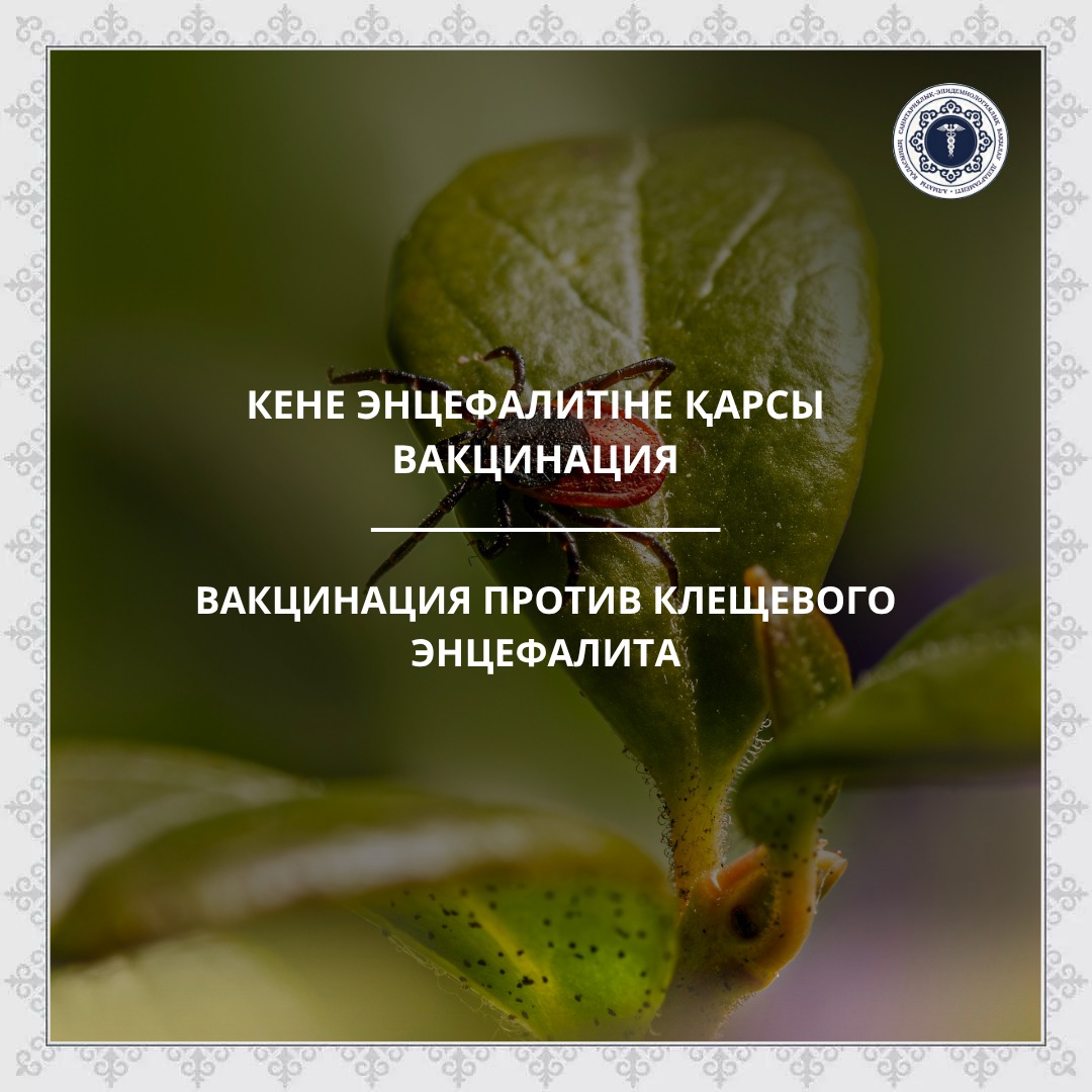 Вакцинация против клещевого энцефалита