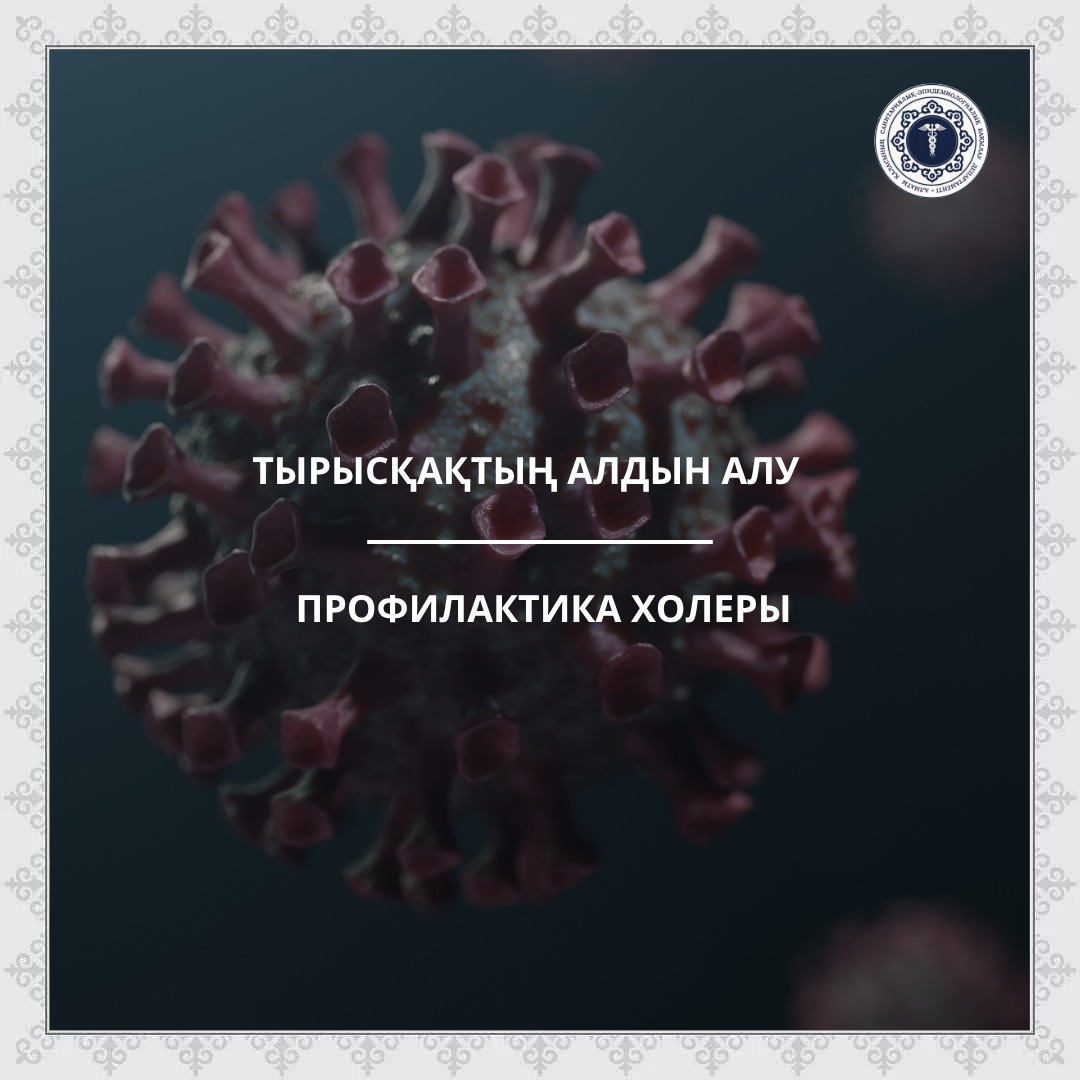 Профилактика холеры