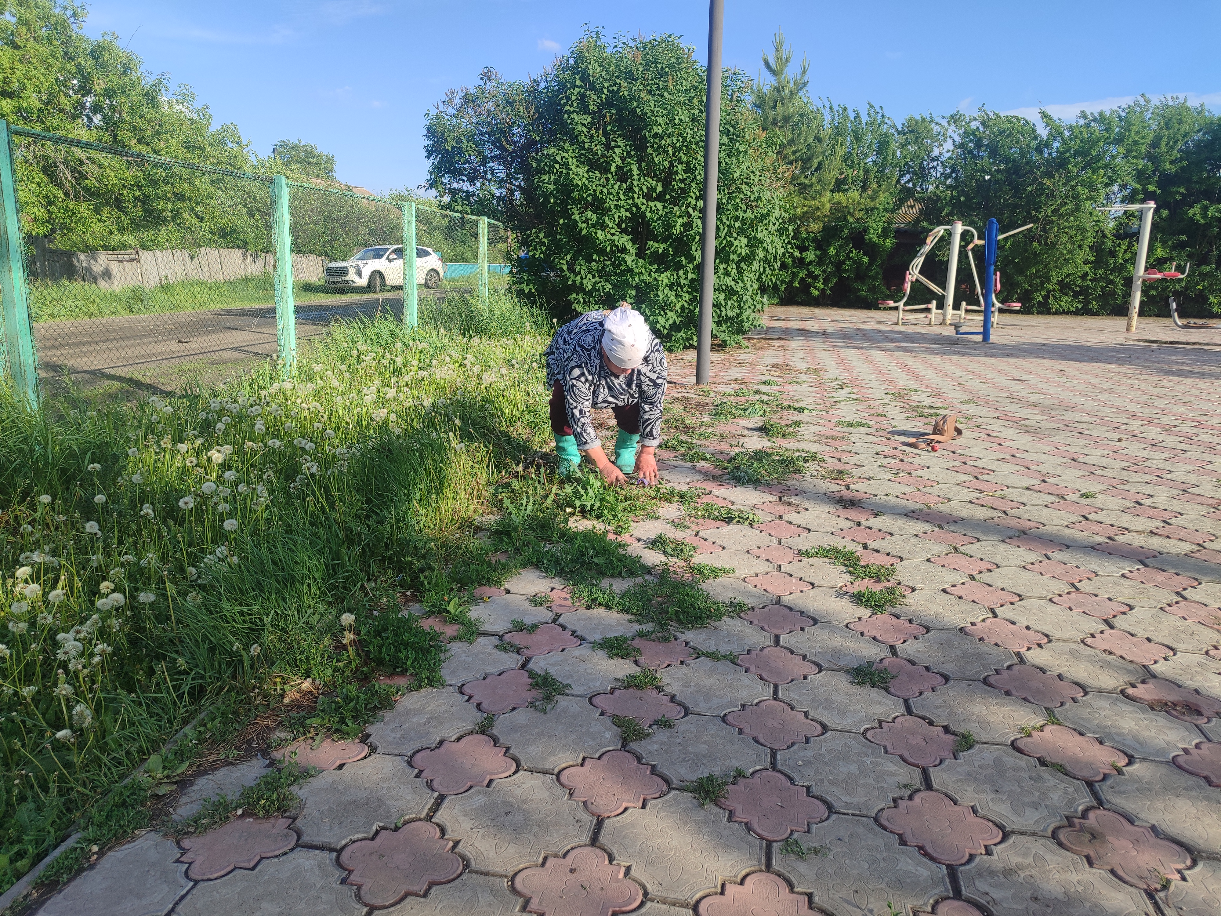Благовещенка ауылында «Таза Қазақстан» экологиялық акциясы өтті