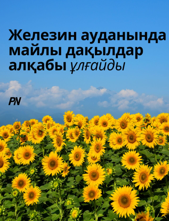 Өңір басшысы Асайын Байхановтың Железин ауданына жұмыс сапары барысында аудан әкімі Айтуған Шайхимов көктемгі егіс жұмыстарының барысы мен ауданның әлеуметтік-экономикалық дамуы туралы баяндады.