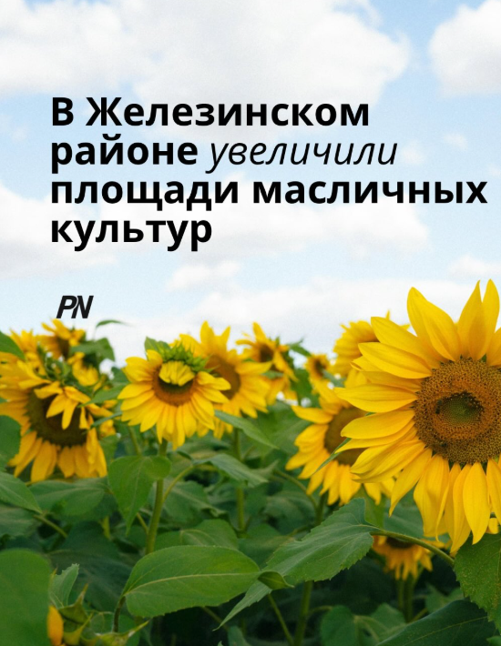 Во время рабочей поездки главы региона Асаина Байханова в Железинский район аким Айтуган Шайхимов доложил о ходе весенне-полевых работ и социально-экономическом развитии района.
