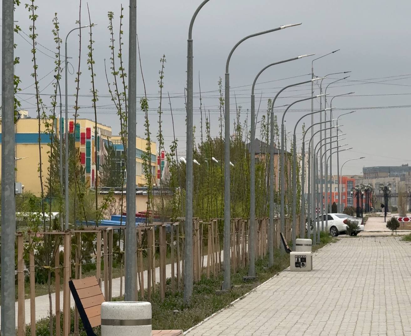 🌱🌿 Ақтау қаласында 2025 жылдың күзінде егілген жасыл желектер көктем лебімен түлеп, бүр жарып, жайқала бастады