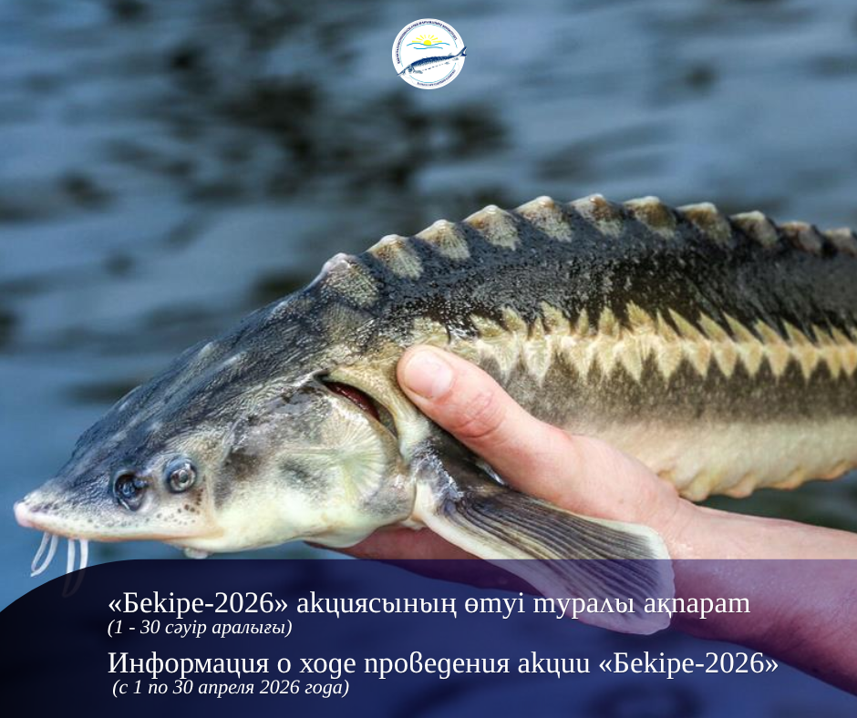 «Бекіре-2026» акциясының өтуі туралы ақпарат (2026 жылғы 1 - 30 сәуір аралығы)