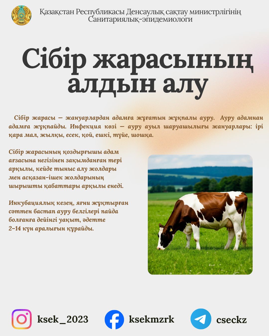 Сібір жарасының алдын алу