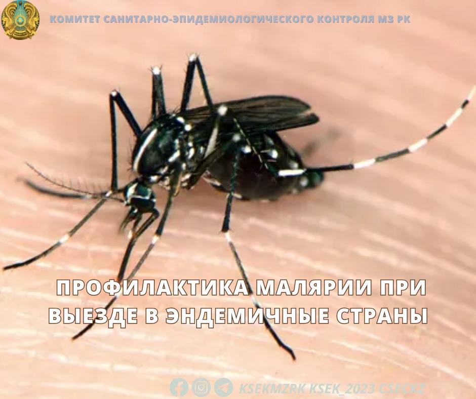 Профилактика малярии при выезде в эндемичные страны
