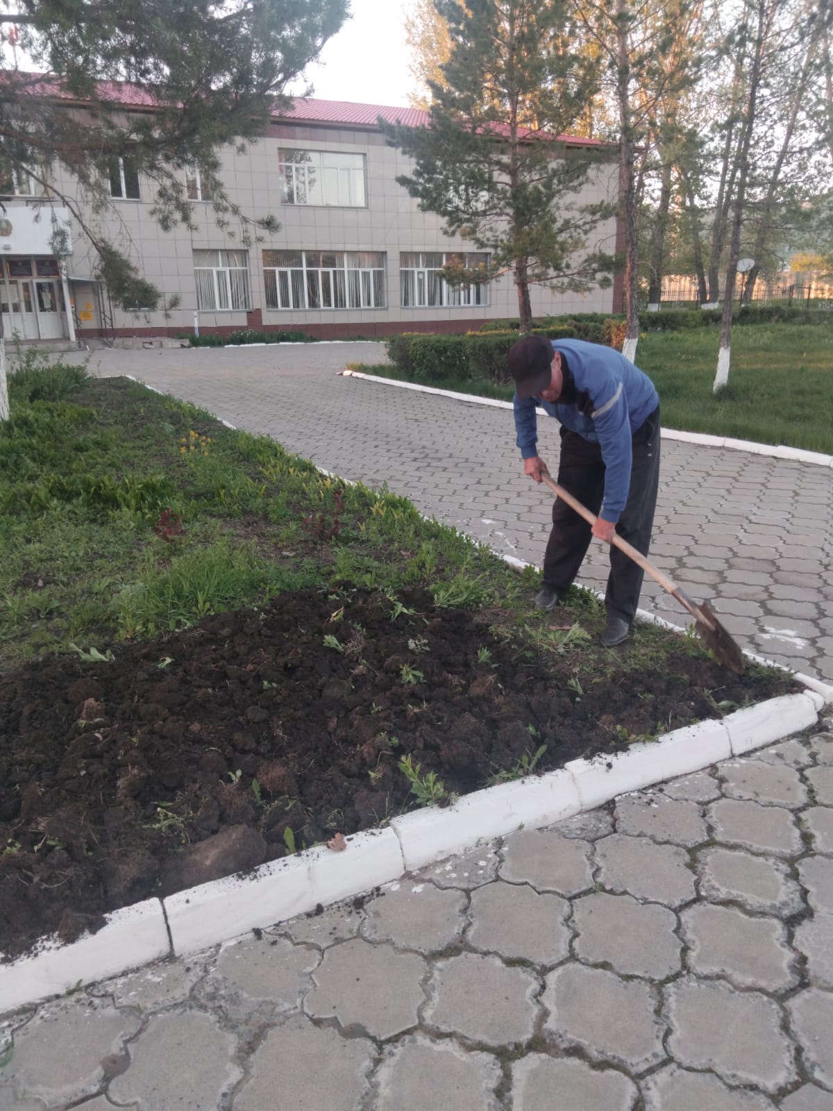 Мәдениет үйі аумағында тазалық жұмыстары атқарылды