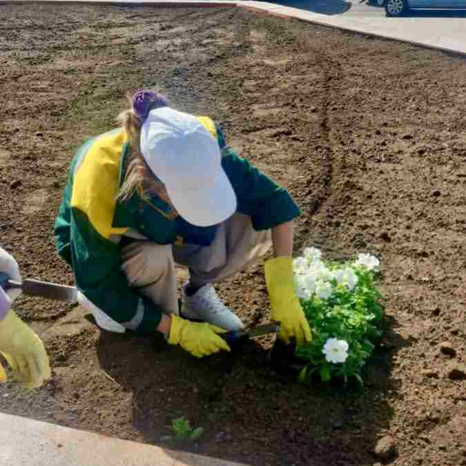 Сарыарқа ауданында 25 мыңнан астам гүл егіледі