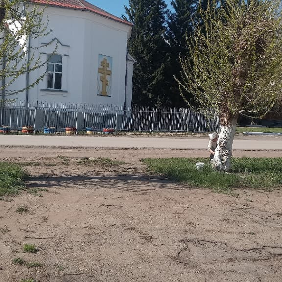 Аумақты абаттандыру жұмыстары