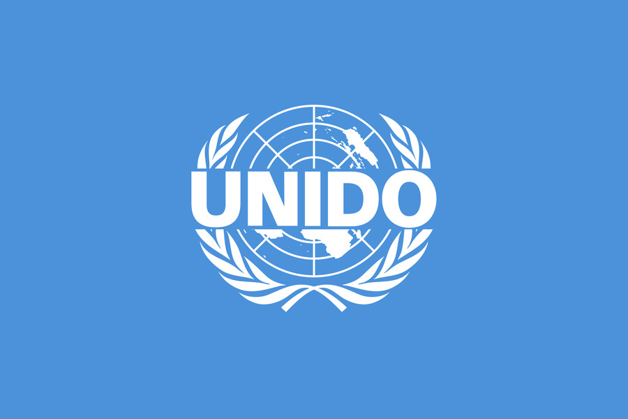 Исследование Бюро опубликовано на платформе ЮНИДО