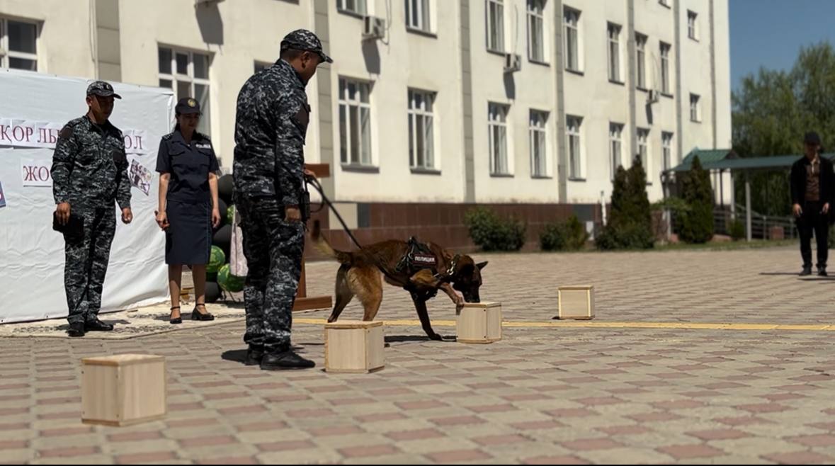 Жетісу облысында оқушылар арасында нашақорлықтың алдын алуға бағытталған профилактикалық кездесу өтті