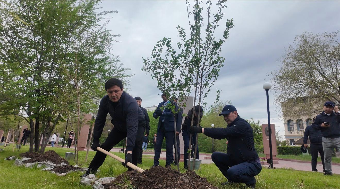 Ақтөбе облысында Жеңіс күні қарсаңында 4000 түп ағаш отырғызылды